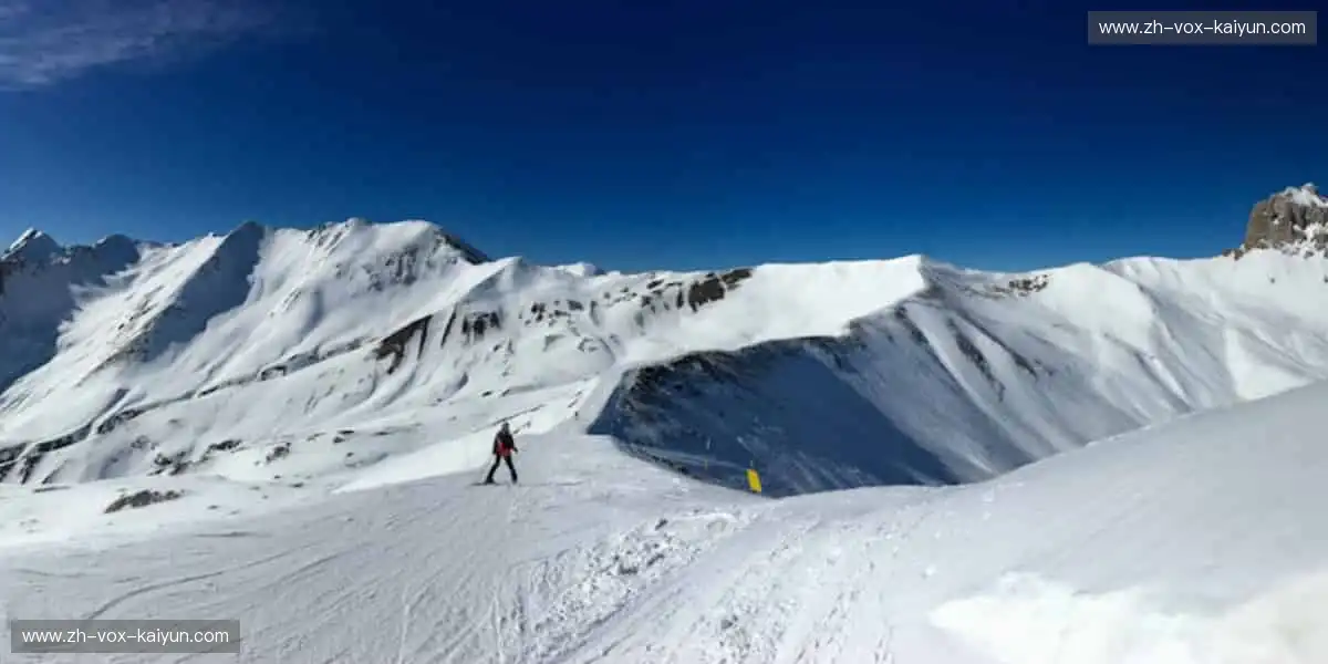 🏅 比分跳动，你的心跳与赛事同频共振！💓